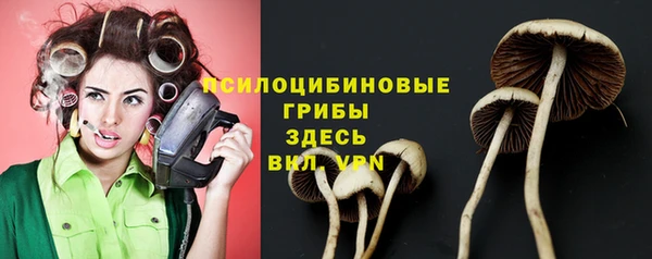 сатива Козельск