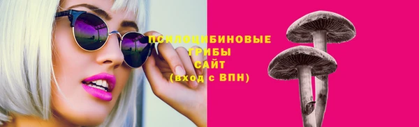 PSILOCYBIN Зерноград