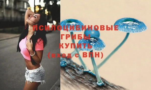 прущие грибы Кодинск