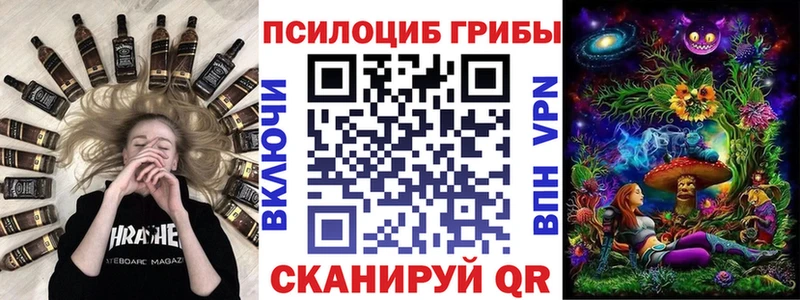 Псилоцибиновые грибы прущие грибы  Камень-на-Оби 