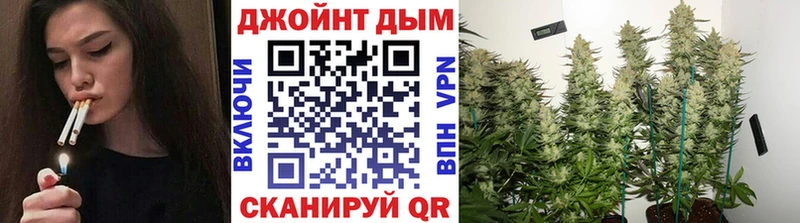 Каннабис AK-47  Камень-на-Оби 
